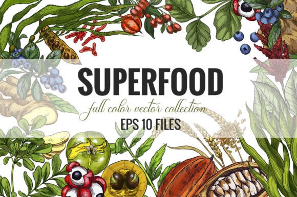 Superfood Vector Graphics Collection: Elevating Design with Nutritional Inspiration